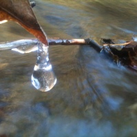 Ice droplet over Buck Creek