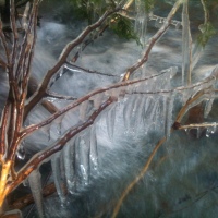 Icy Cedar over Buck Creek